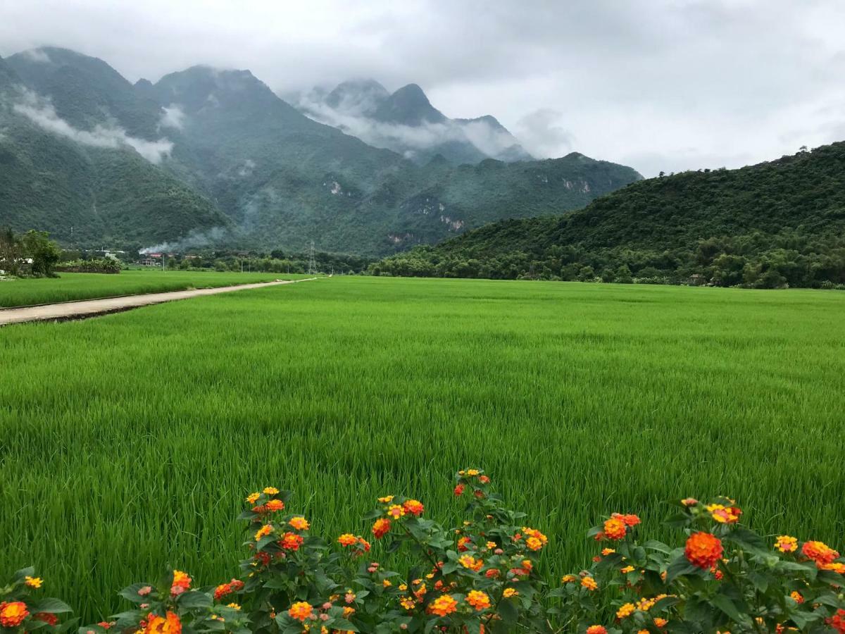 فندق Jomo House Mai Chau Hòa Bình المظهر الخارجي الصورة