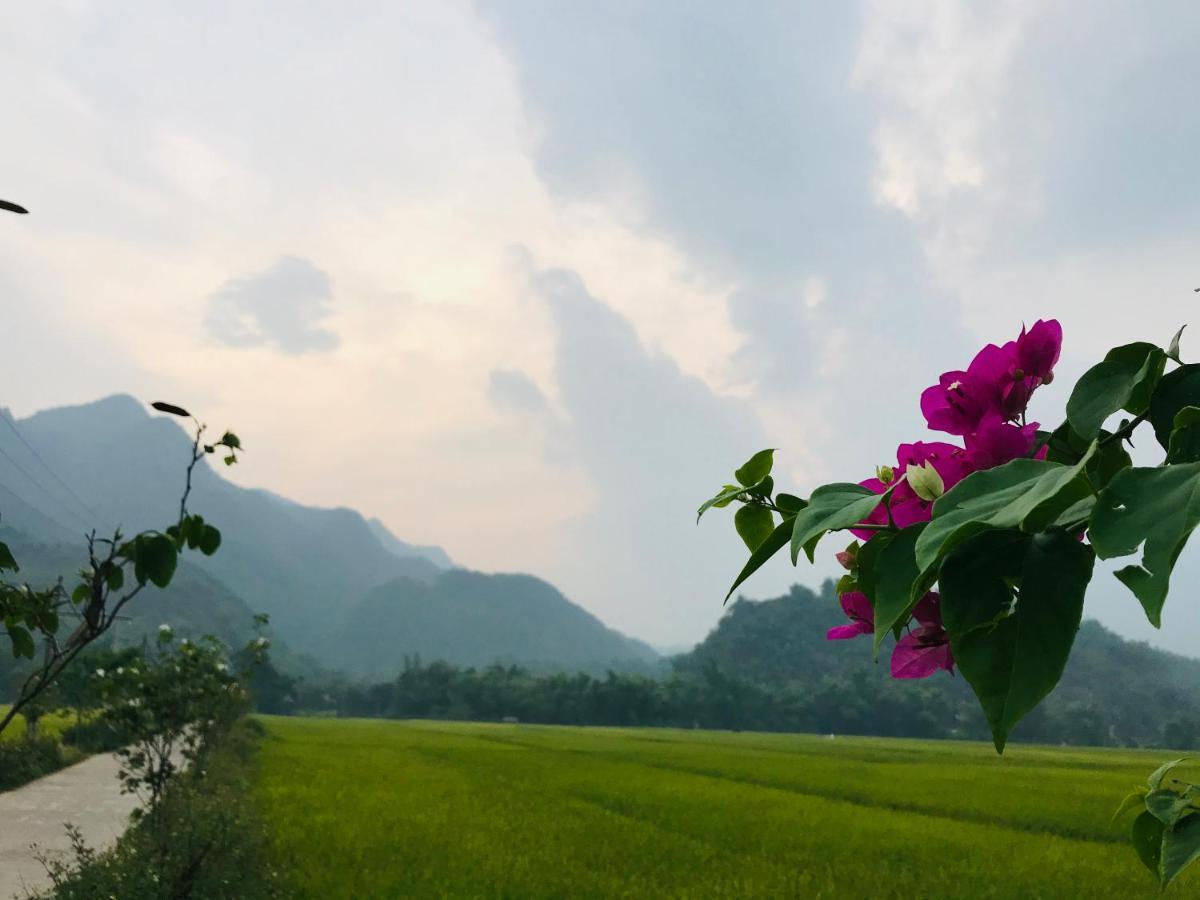 فندق Jomo House Mai Chau Hòa Bình المظهر الخارجي الصورة